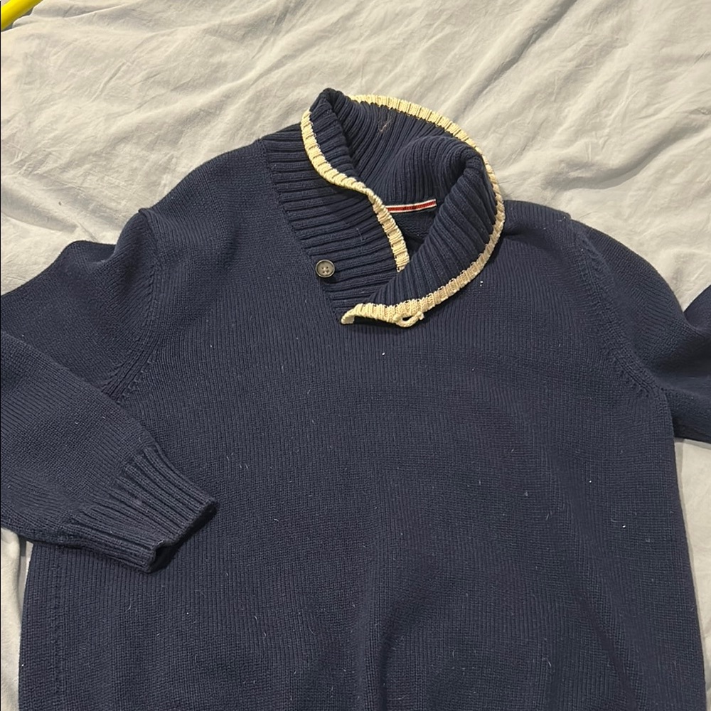 Banana Republic Blue and Cream Turtleneck Sweater